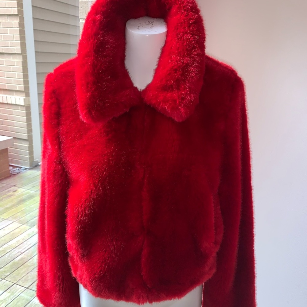 Zara Faux Fur Coat